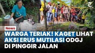 Dikira Potong Daging Ayam Warga Teriak Kaget Lihat Erus Mutilasi ODGJ di Pinggir Jalan