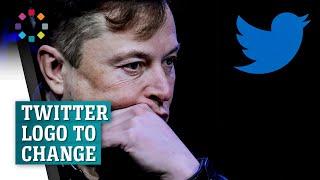 Elon Musk says Twitter to change logo