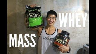 WHEY PROTEIN or MASS GAINER? Tips for Beginner