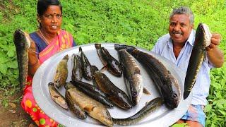 SNAKEHEAD MURREL FISH  Viral Meen Kulambu Cooking and Eating in Village  Farmer Cooking