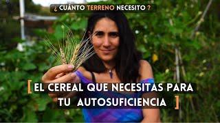 Autosuficiencia  alimentaria