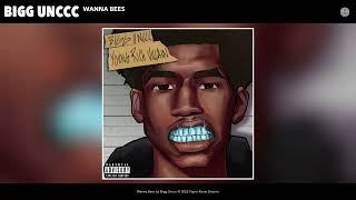 Bigg Unccc - Wanna Bees Official Audio