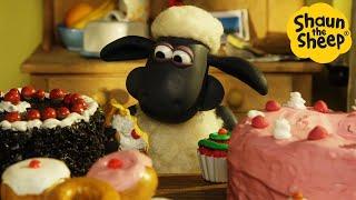 Shaun the Sheep  The Cake Disaster  Full Episodes Compilation 1 hour
