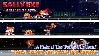 Sally.exe Whisper of Soul ¡A Fight at The Top of The Train Tails Cream and Sally Trio Ending