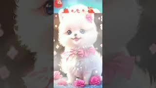 teri sari wish #shortvideo #cute  cat #shortvideo #whatsappstatus