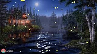 Night Ambient Sounds Cricket Swamp Sounds at Night Sleep and Relaxation Meditation Sounds