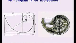 Основы волнового анализа  волновая теория Эллиотта