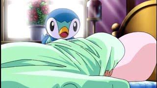 Piplup wakes up Dawn  Piplup is an alarm