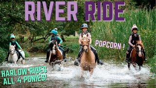 RIVER RIDE PONY HACK 4 cheeky ponies and LOTS OF BUCKS