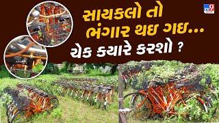 Mehsana સરસ્વતી સાધના યોજનાની સાયકલો પર ઉગી વેલ 3 મહિનાથી પડી છે 1200 સાયકલો  Gujarat  TV9