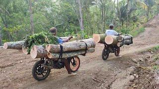 Their genius way of transporting wood from the forest was using homemade motorbikes