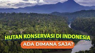 Mengenal Hutan Konservasi di Indonesia dan Penyebarannya