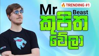 Escape From Mr Beast Full Game Play  - Sinhala