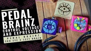 Expression and Control Voltage Explained Pedal Brainz 3rd Eye & Left Brain CV Demo