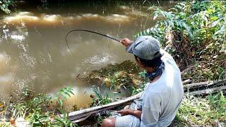 PANEN STRIKE. MANCING PAKAI BUAH KELAPA SAWIT. SEKALI COBA PASTI KETAGIHAN