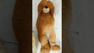 Teddy  bear so raha h#shorts #viral #ghost #scary #scarystories #scared #howtoentertain #trending