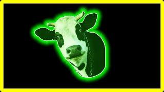 14 Cow Sound Variations