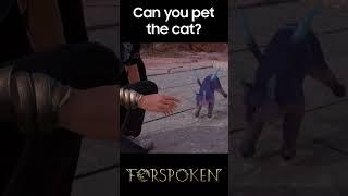 Yes you can pet the cat in Forspoken