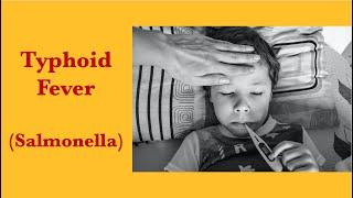 What are the complications and homeopathy treatment for typhoid fever Salmonella?