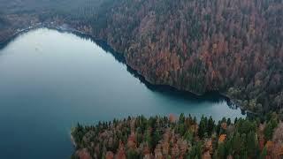 Абхазия озеро Рица 04.11.2021 Abkhazia Lake Ritsa