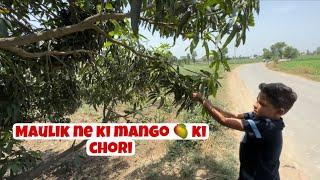 Maulik ne ki Mango  ki chori  Trip with family