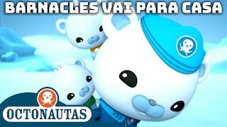 Octonautas - ‍️ Barnacles Vai para Casa   Compilação  Episódios inteiros