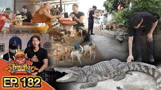 ไทยทึ่ง WOW THAILAND  EP.182 #จระเข้เฝ้าบ้าน จระเข้สุดเชื่อง เลี้ยงเอาไว้ให้เฝ้าบ้าน