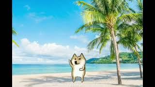 5 Hours Happy Dog Dancing On A Beach With Ambient Music