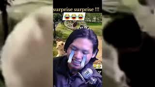 FUNNY BEHAVIOR STARTLES A LION - REACTION #1