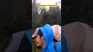 TERJEBAK BADAI MENGERIKAN DI GUNUNG PRAU #shorts #short #ytshorts