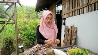 Invited to Cook Widow Herang  Bening  Cooking Harvested Cassava behind her house