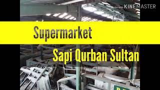 Jual Sapi Kurban Qurban Sultan 2020