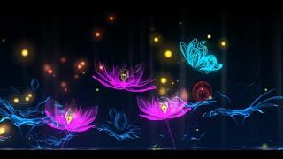 Lotus with Butterfly Flying Around  LED Video Background  Pikbest.com