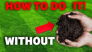 Who told you covering grass seeds is a Must? Lawn care myth debunked