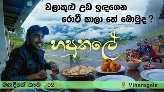 Magadige Kema - Vlog #02  Haputale  Viharagala  Beragala  Secret Traveller