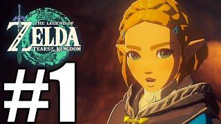 The Legend of Zelda Tears of the Kingdom Gameplay Walkthrough Part 1 - Intro