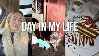 VLOG chit chat grwm bday dinner & we found a dog 