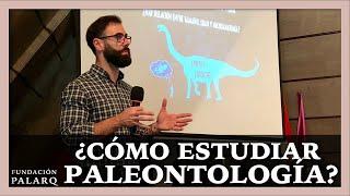 ¿Cómo estudiar Paleontología?