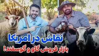 بازار فروش گاو و گوسفندنقاش نخاس امریکادیدار وطنی وطندارخرید قربانیSpecial Didar Qurbani