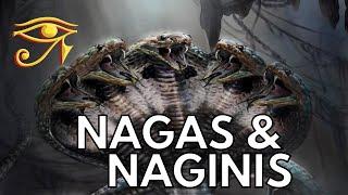 The Nagas & Naginis  Serpentine Beings of Indian Legend