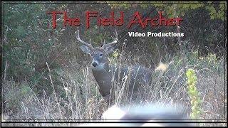 CROSSBOW DEER HUNTS WARNING IMPACT SHOTS