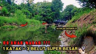 UNTUNG BERLIPAT  UMPAN 1 KATAK 3 EKOR BELUT SUPER BESAR KU DAPAT