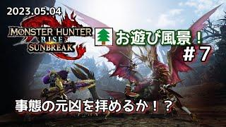 モンスターハンターライズ サンブレイク お遊び風景！#7 2023.05.04【MHRSB】