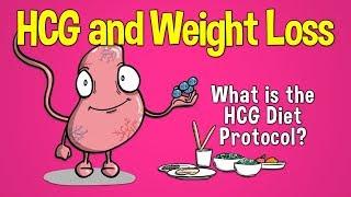 HCG and Weight Loss What is the HCG Diet Protocol?