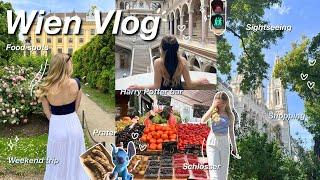 Wien Vlog  Sehenswürdigkeiten food spots shopping Schlösser Harry Potter Bar & mehr 