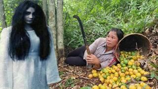 Single mother in danger in the forest - Harvesting forest fruits for sale  Nhim single mom