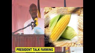 State Of The Nation President Emphasizes  Farming