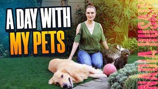 A Day With My Pets  VLOG By Nadia Hussain