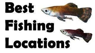 Skyrim best fishing locations All Fish Guide Part One