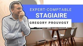 EXPERT COMPTABLE STAGIAIRE - Mes conseils dexpert-comptable